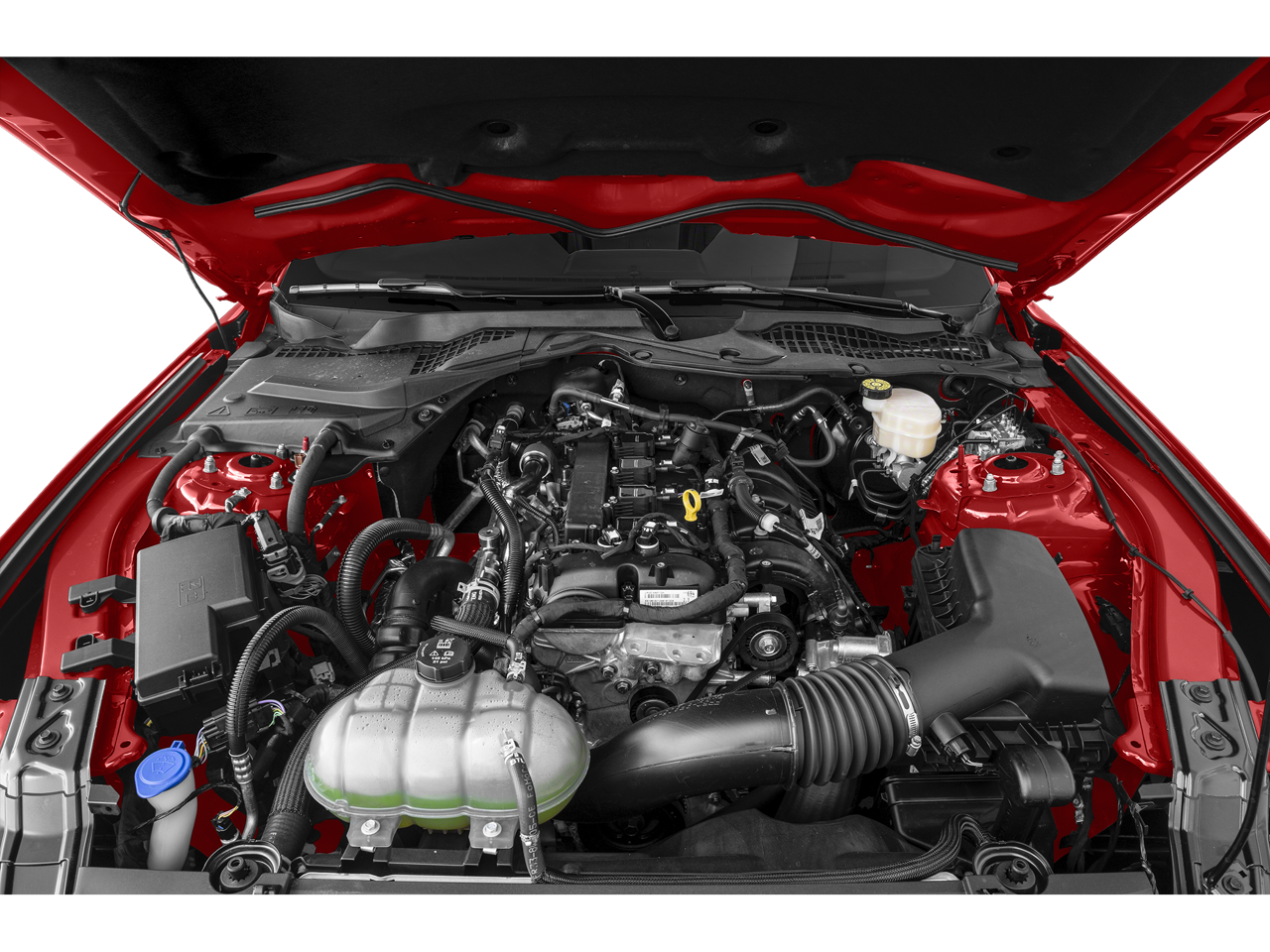 2022 Ford Mustang EcoBoost
