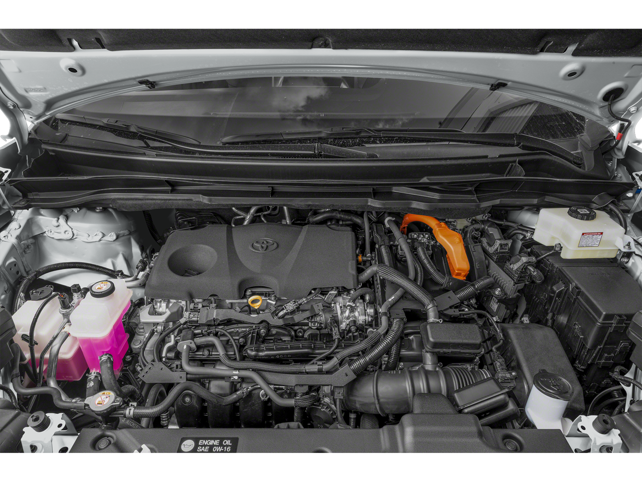 2025 Toyota Sienna Woodland