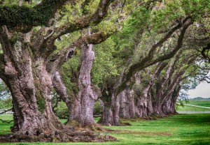 9295093009_9723abe295_h