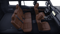 2026 Toyota Land Cruiser Land Cruiser