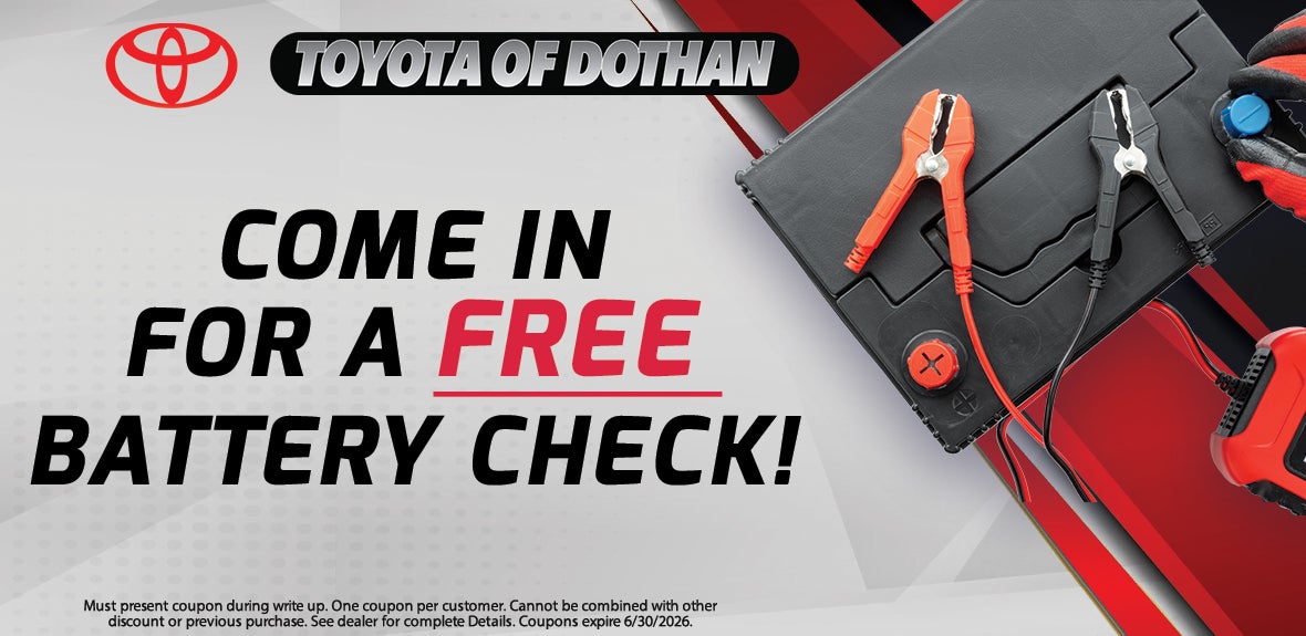 Free Battery Check